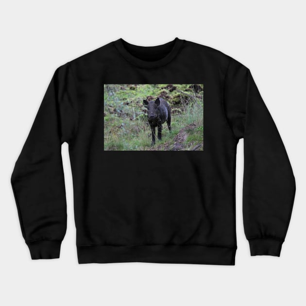 Wild boar Crewneck Sweatshirt by orcadia